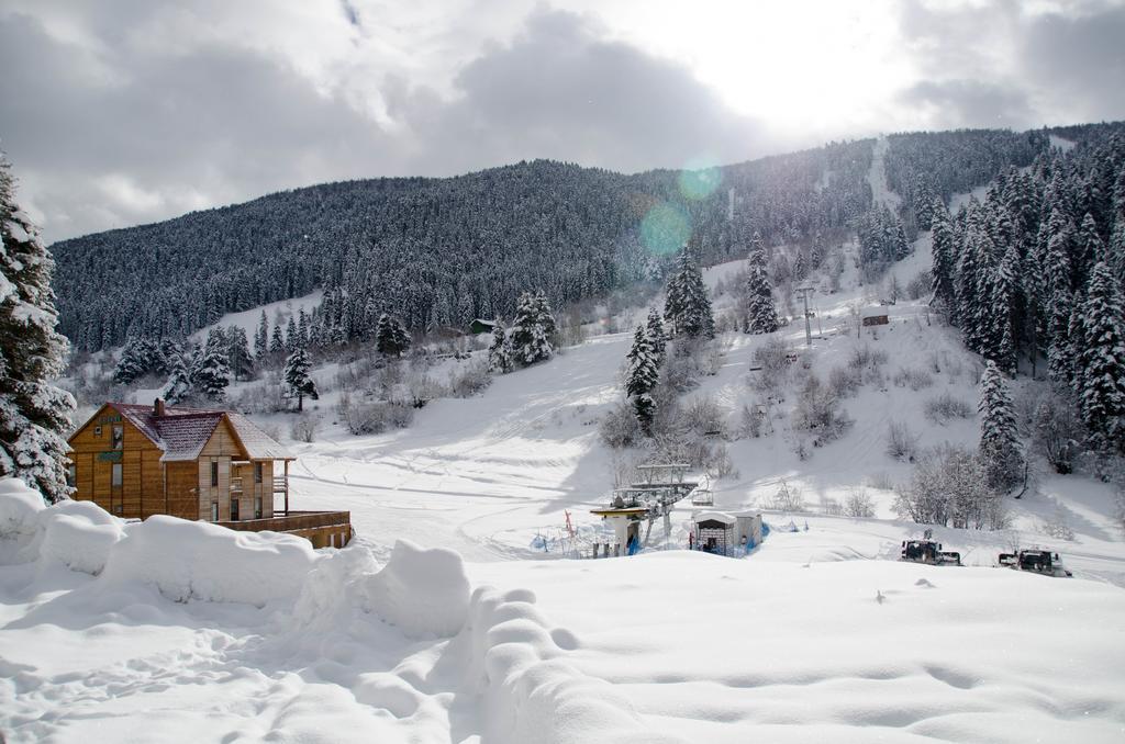 Hotel Hatsvali Mestia Exterior photo